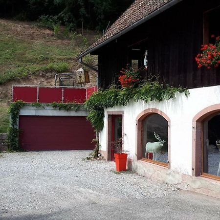 Apartamento Le Moulin Des Automates Fréland Exterior foto