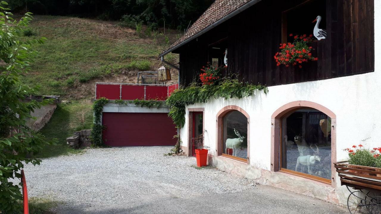 Apartamento Le Moulin Des Automates Fréland Exterior foto